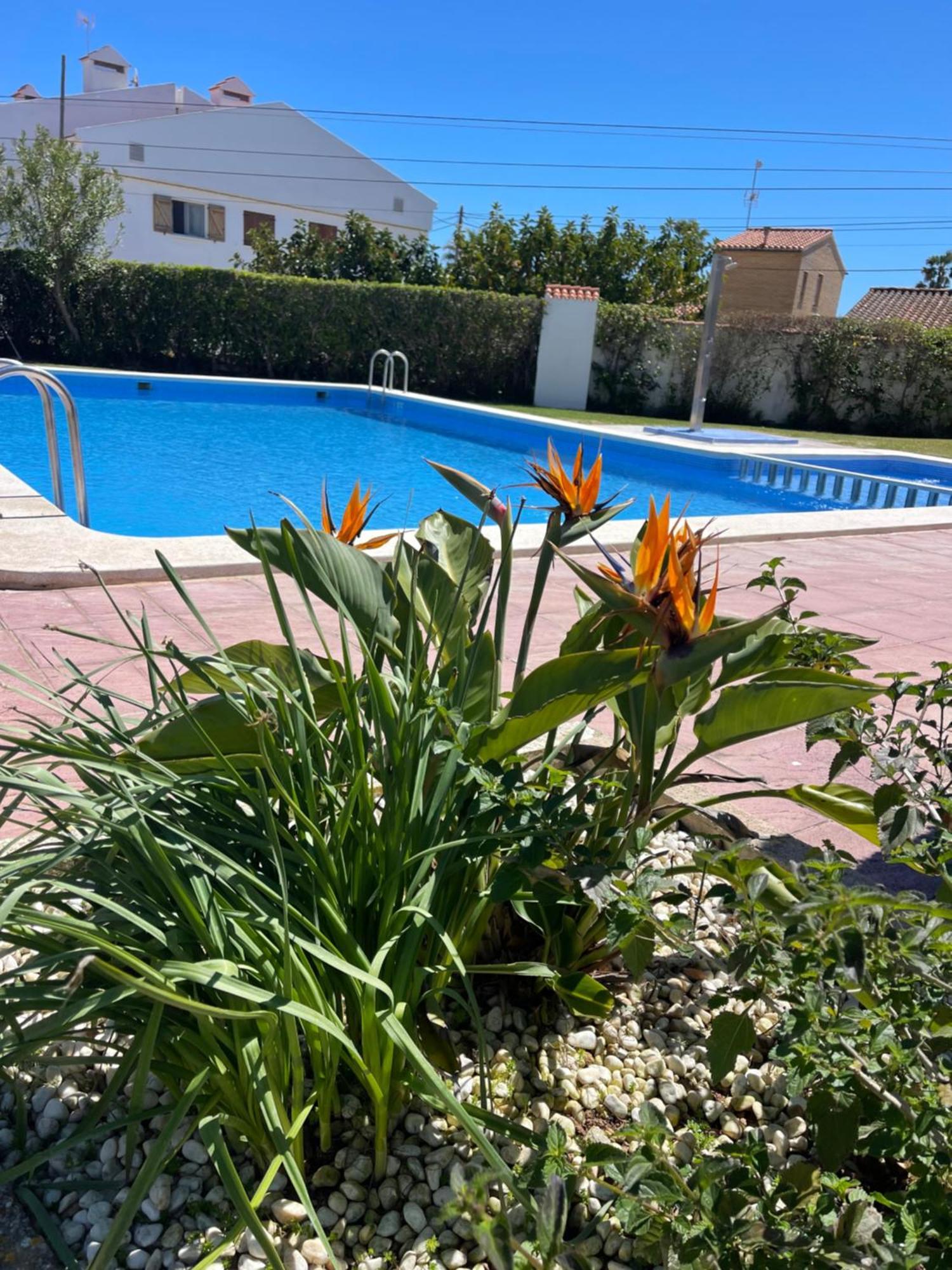 Cala Puntal Apartment Vinarós Екстериор снимка